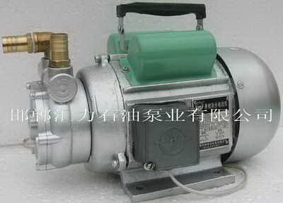 220v液壓油泵