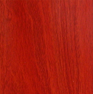 美國(guó)紅橡