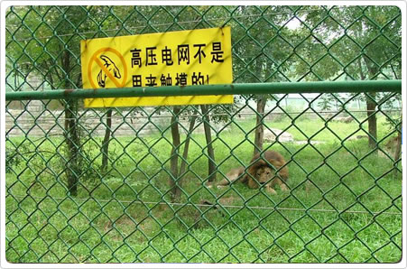 供應養殖用網