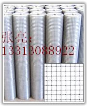 熱鍍鋅電焊網(wǎng)，鍍鋅電焊網(wǎng)，鍍鋅鋼絲網(wǎng)