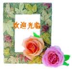 吉水牌安全彩鋁門(mén)