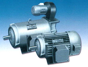 YLJ、YDLJ系列力矩三相異步電動機(jī)