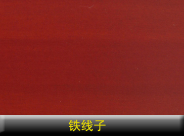 大衛地板 實木系列