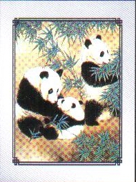 供應彩色不銹鋼板，彩色不銹鋼生產廠家