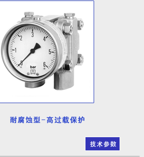 供應(yīng)耐腐蝕型-高過載保護 壓力表