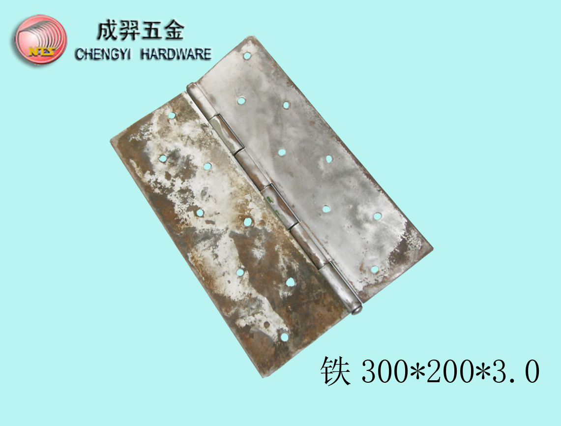 技術鄰先生產特種長鉸鏈