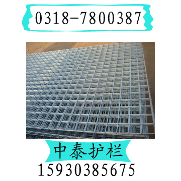 廠家直銷電焊網片