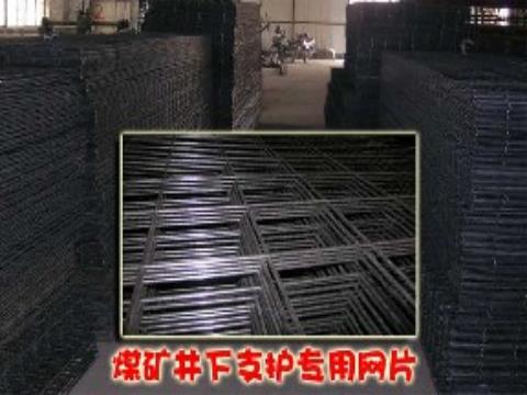 礦山巷道網/煤礦防護網/煤礦支護網/鋼絲網
