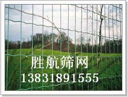 鋼絲護欄網浸塑/安平浸塑鋼絲網銷售