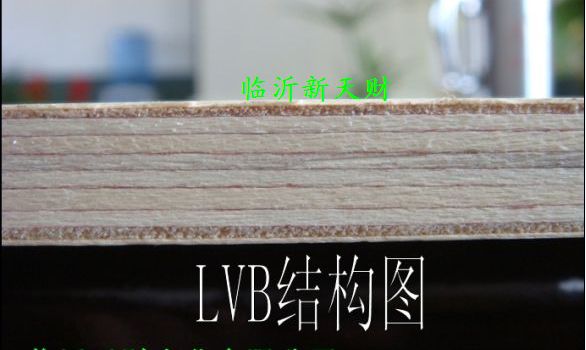 供應全楊木家具用多層板，漂白楊木LVB家具板