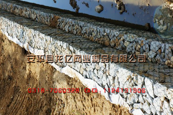 供應雷諾護墊