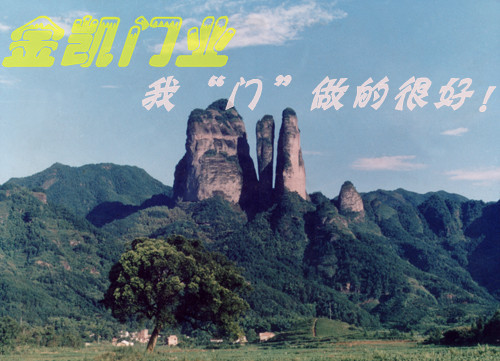 金凱門業