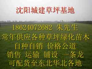 沈陽城建草坪綠化苗木基地