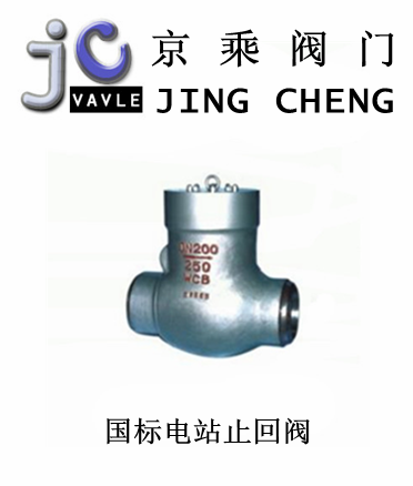 國標電站止回閥