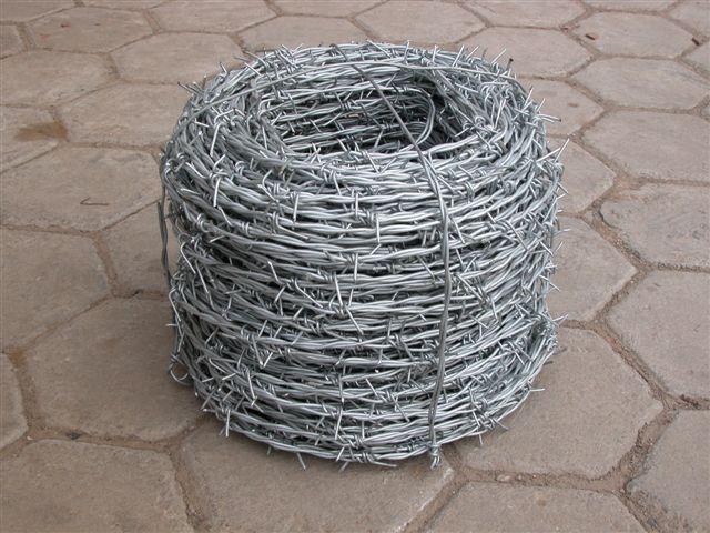 鐵蒺藜網，帶刺鐵絲網，防盜刺網，帶刺圍墻網，監獄刺