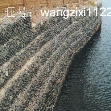 雙擰六角網