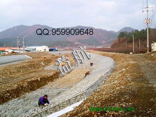河道護坡網