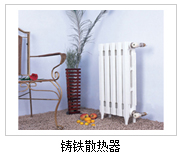 供應灰鑄鐵錐柱花翼對流系列