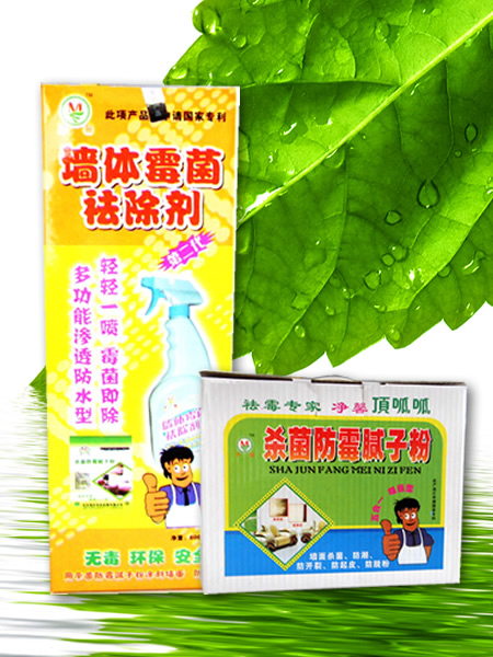 凈馨 墻體霉菌一噴凈 (第二代)防水型
