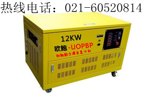 12kw汽油發(fā)電機