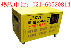 15kw汽油發電機