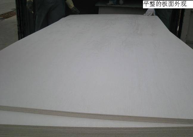 玻鎂板
