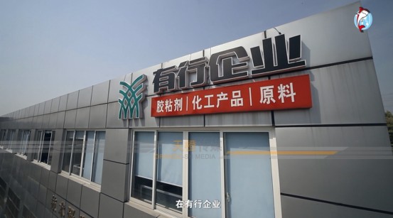經銷高利潤有行鯊魚拼板膠,拼板膠經銷4季火,經銷拼