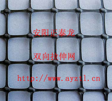 雙向塑料拉伸網