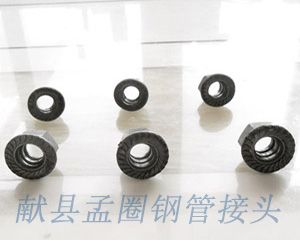 法蘭母鋼管接頭直銷