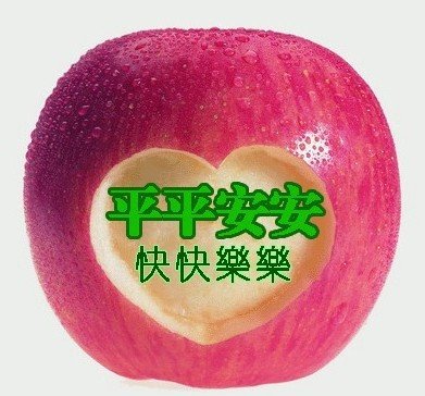2022年上海砂漿展&2022上海國際地坪展覽會