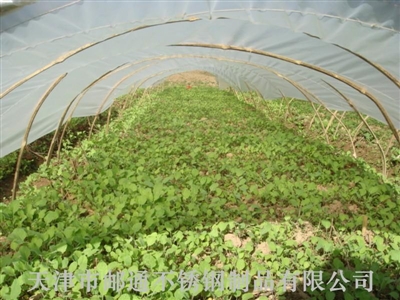 信報箱廠家供應防雨棚
