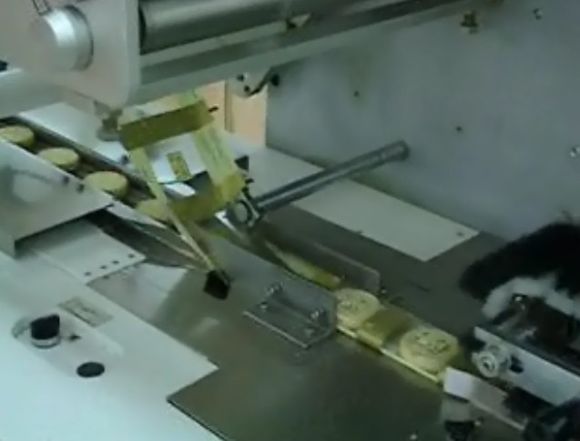 高速枕式包裝機，三伺服枕式包裝機，伺服橫式包裝機