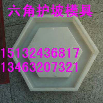 供應品質(zhì)卓越六角護坡模具