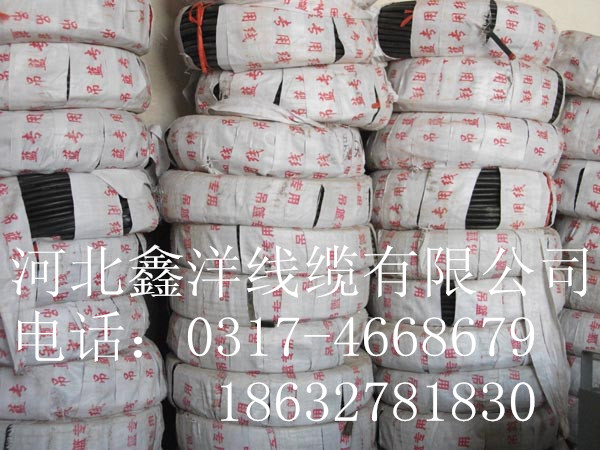 加工定做電動吊籃專用電纜提升機專用電纜