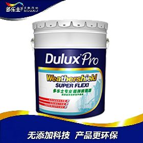 A952多樂士專業彈性睛雨漆 20L