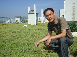 “曬不死”佛甲草屋頂綠化設計。景觀佛甲草施工