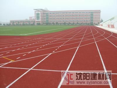 塑膠地板 塑膠跑道 地坪漆 實(shí)木運(yùn)動(dòng) 幼兒園專用