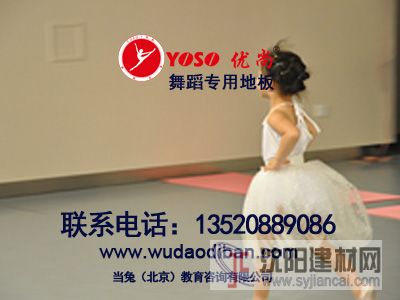 街舞專用地膠，拉丁舞專用地膠，舞蹈室專用舞蹈地膠