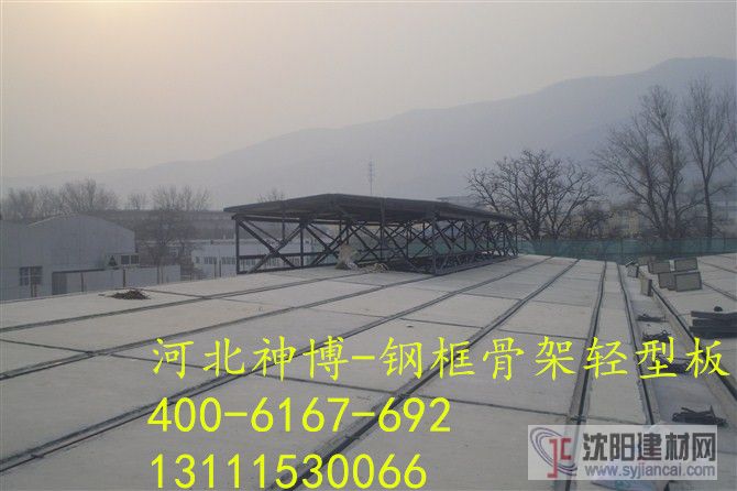 供應發泡水泥復合板北京s選神博建材