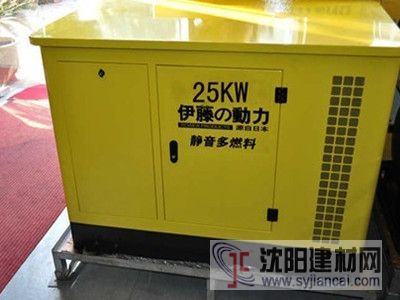 上海伊藤25kw多燃料發電機