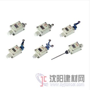 BLX51防爆行程開關 防爆柱塞式行程開關