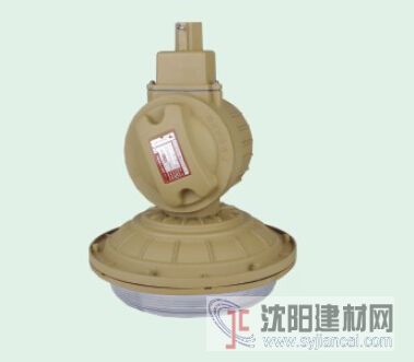 SBD1103-YQL50節能防爆燈