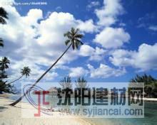 沈陽藍天白云彩繪