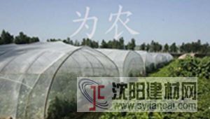 批發全新料高品質40目防蟲網 大棚防蟲網  廠家直銷