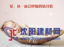 愛情，從一面會(huì)呼吸的墻開始守護(hù)