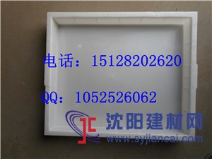 供應創新抗沖擊邊溝蓋板模具