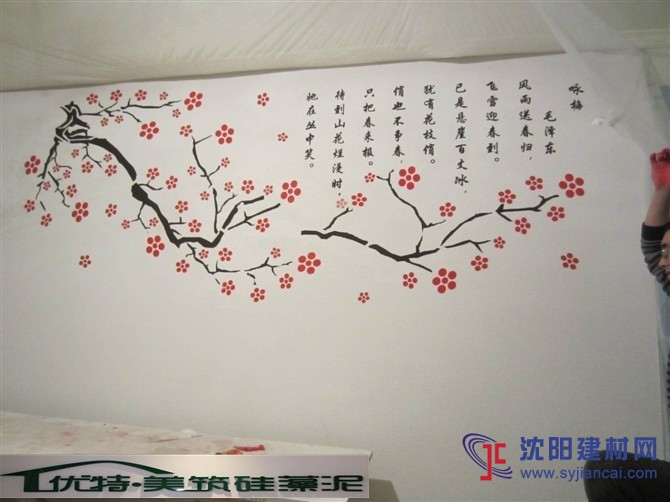 沈陽鐵西區(qū)做硅藻泥就找優(yōu)特美筑硅藻泥！