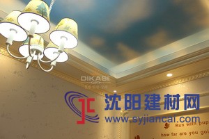 沈陽地區未來藝術涂料的發展趨勢