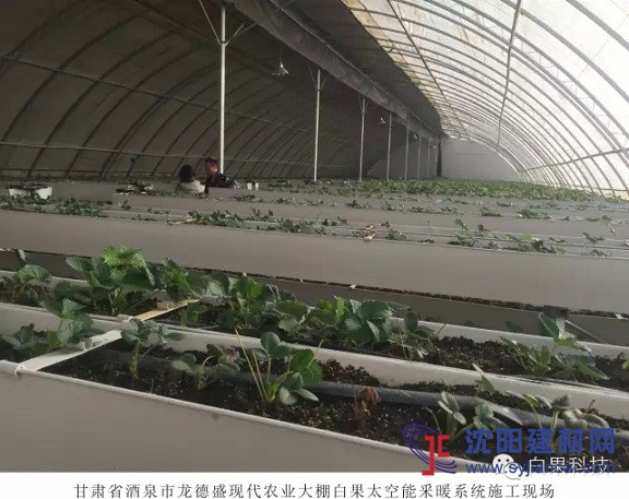 白果太空能大棚采暖系統(tǒng)走進甘肅酒泉