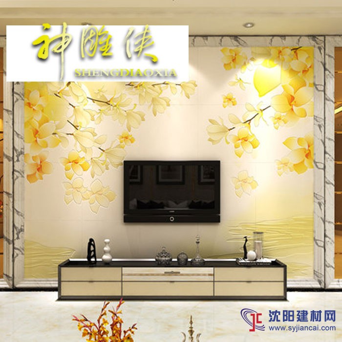 【神雕俠】客廳電視背景墻瓷磚 簡約現代 金蘭蔻